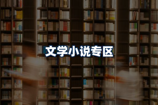 文学小说PDF展示